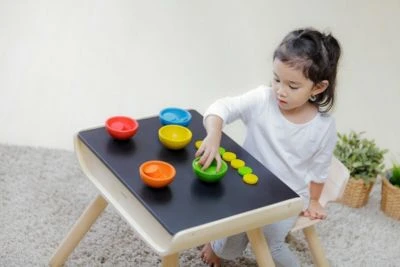 PLANTOYS Legespiel Sortieren & Spielen Legespiele 3 PLANTOYS Legespiel Sortieren & Spielen Legespiele – Bild 3