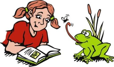 Moses. Verlag Green Stories - 50 Abenteuerliche Rätsel Aus Wilden Wäldern 6 Moses. Verlag Green Stories - 50 Abenteuerliche Rätsel Aus Wilden Wäldern – Bild 6