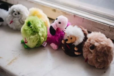 Trudi Charms Anhänger Aus Plüsch Igel Ca. 11 Cm (Größe XXS) (29083) 2 Trudi Charms Anhänger Aus Plüsch Igel Ca. 11 Cm (Größe XXS) (29083) – Bild 2