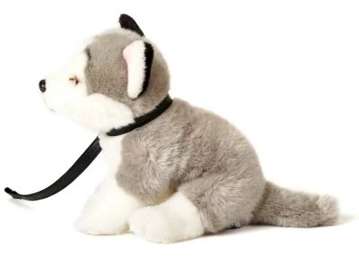 UNI-TOYS® Husky Grau, Sitzend (mit Leine) - 24 Cm (Höhe) - Plüsch-Hund - Plüschtier Kuscheltiere 2 UNI-TOYS® Husky Grau, Sitzend (mit Leine) - 24 Cm (Höhe) - Plüsch-Hund - Plüschtier Kuscheltiere – Bild 2