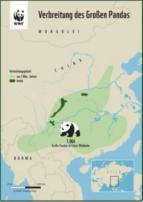 WWF Plüschtier Panda (47cm) 2 WWF Plüschtier Panda (47cm) – Bild 2