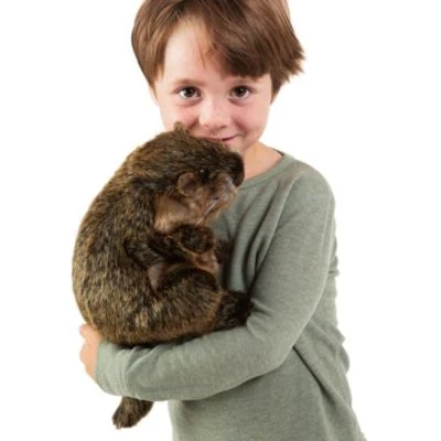 Folkmanis Handpuppe Murmeltier / Groundhog 2 Folkmanis Handpuppe Murmeltier / Groundhog – Bild 2