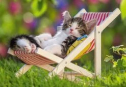 Ravensburger 2er Set Puzzle, Je 24 Teile, 26x18 Cm, Verschlafene Kätzchen -Spielzeugladen 5508353 03